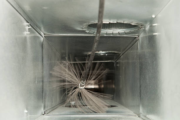 Best Professional Duct Cleaning Services  in Pleasant View, UT