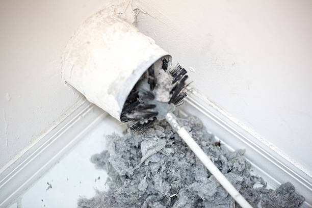 Best Ductwork Cleaning Services  in Pleasant View, UT